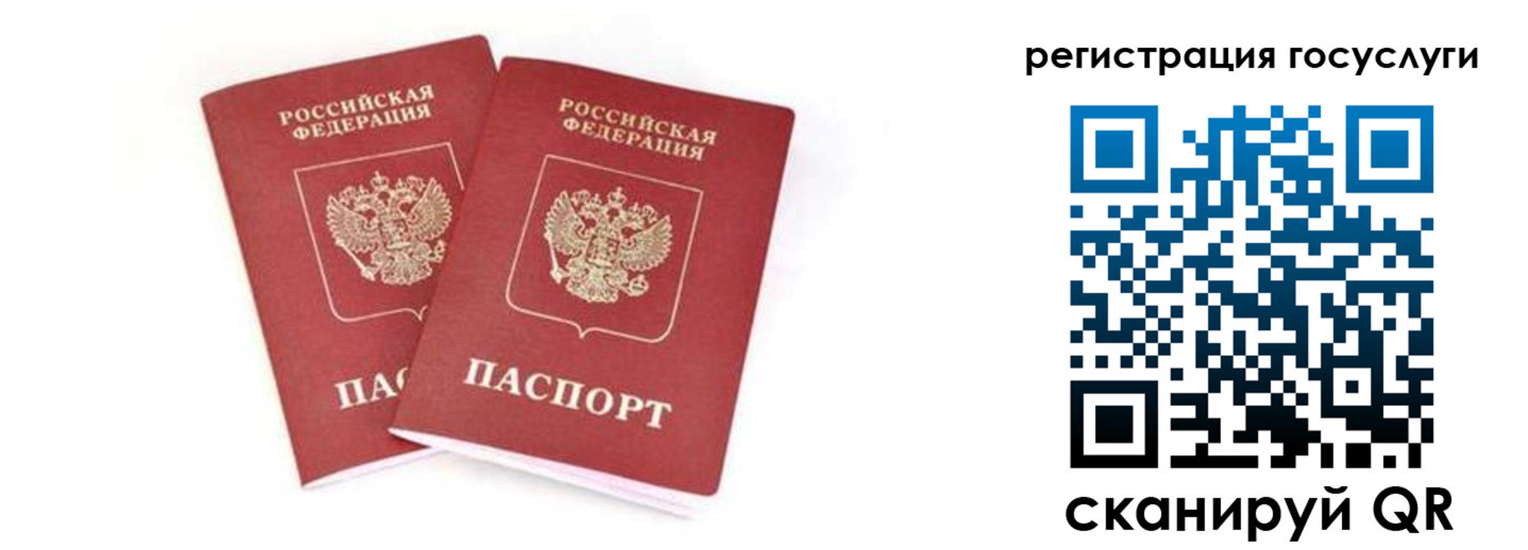 прописка в квартире в Ершове